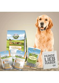 Hypoallergenic dry food in a pet food set for large dogs