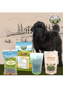 Set d'alimentation pour les grands chiens ayant des probl&egrave;mes digestifs - Naturgut-Schmaus + Landgut-Happen + Shiimun Gastro + tasse &agrave; mesurer