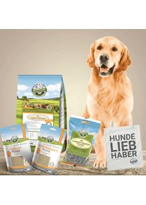 Aliments secs hypoallerg&eacute;niques dans un assortiment de nourriture pour grands chiens
