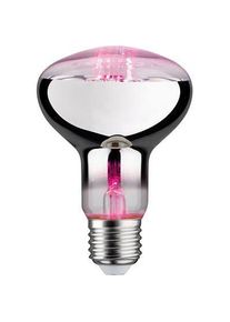 SCHARNBERGER+HASENBEIN, Pflanzenlampe, SCHARNBERGER 32000 (LED, 230 V)