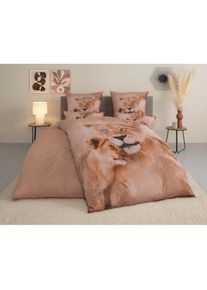 OTTO home Bettw&auml;sche &raquo;Lyki&laquo; 2 ab Gr&ouml;&szlig;e 135x200 cm, 100% Polyester, Katze, Pferd, L&ouml;we, Pinguin