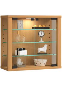 Vcm Wandregal &raquo;Wandvitrine H&auml;ngevitrine Glasvitrine Vitrosa S&laquo; 1 Stk. tlg.