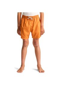 Billabong Badeshorts &raquo;All Day Layback&laquo;