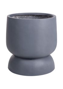 Beliani, Blumentopf, Araucaria