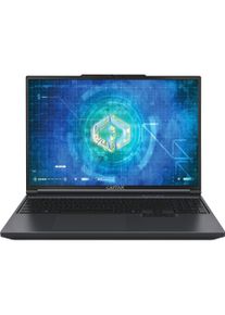 Captiva Highend Gaming I94-489GE (16", 1000 GB, 32 GB, DE, Intel Core i9-14900HX), Notebook, Schwarz