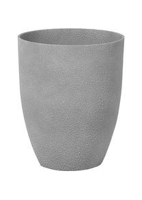 Beliani, Blumentopf, Croton