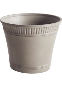 Beliani, Blumentopf, Cistus