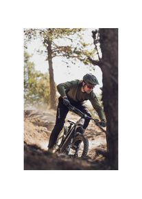 Alpina Sports	 Alpina Sports, Damen, Sportbrille, Rocket QV (Cool grey matt, Gold), Grau