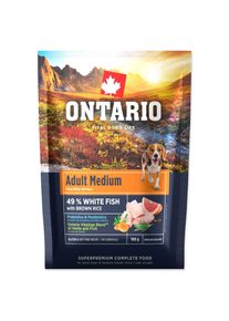 Vzorka Ontario Adult Medium Fish & Brown Rice 0,1kg