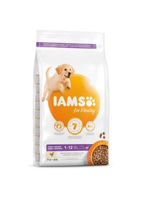 Krmivo IAMS Dog Puppy Large Chicken 3kg