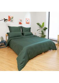 Bettw&auml;sche WOLKENFELD "Edel Mako-Satin Bettw&auml;sche, unfassbar weich", gr&uuml;n (waldgrun), B/L: 200cm x 200cm, 1 Stk., 2 Stk., Mako-Satin, B/L: 80cm x 80cm & 80cm x 80cm, 3 Stk., Mako-Satin, Obermaterial: 100% Baumwolle, Bettw&auml;sche, Bettw&auml;sche, 135x200 cm, 155x220 & &Uuml;bergr&ouml;&szlig;en I inkl. Kissenbez&uuml;ge 80x80 I Uni