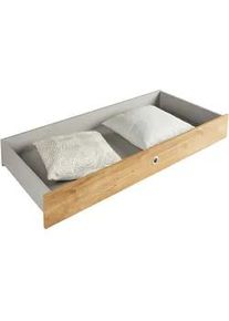 Sconto Bettschubkasten Valencia in Eichefarben 2er Set