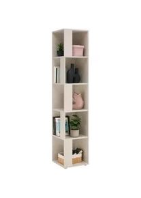 Eckregal Kornel Kaschmir