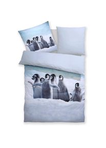 OTTO home, Bettw&auml;sche &raquo;Lyki&laquo; 2 ab Gr&ouml;&szlig;e 135x200 cm, 100% Polyester, Katze, Pferd, L&ouml;we, Pinguin, Pinguin, Microfaser, Obermaterial: 100% Polyester, B/