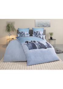 OTTO home, Bettw&auml;sche &raquo;Lyki&laquo; 2 ab Gr&ouml;&szlig;e 135x200 cm, 100% Polyester, Katze, Pferd, L&ouml;we, Pinguin, Pinguin, Microfaser, Obermaterial: 100% Polyester, B/