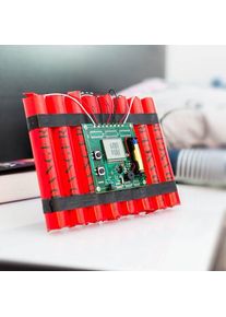 Bud&iacute;k dynamit