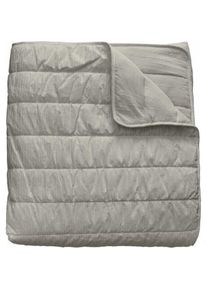 Pierre Cardin, Decke, Bedspread (quilt) OLIMPIA Pearl Gray Single (2 Pieces) (270 x 180 cm)