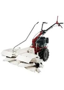 Benzin Kehrmaschine Eurosystems P55