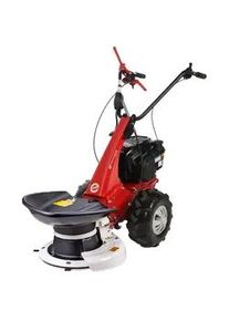 Eurosystems Minieffe RM - Mehrzweckger&auml;t Scheibenm&auml;her - B&S 675 iSi