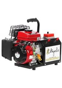 Agrieuro Premium Angelis - Tragbarer Stromerzeuger 12/22V
