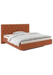 Polsterbett Pedro D Braun ca. 160x200cm