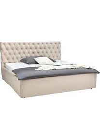 Polsterbett Katar Beige ca. 180x200cm