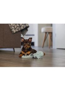Beeztees Puppy Flatino Drache Yi (Pl&uuml;schspielzeug Hund), Hundespielzeug