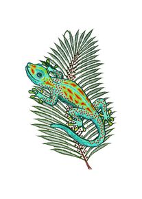 W. Reuter & Sohn - Plauener Spitze Fensterbild &raquo;Fensterbild "Gecko" farbig&laquo;