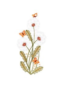 W. Reuter & Sohn - Plauener Spitze Fensterbild &raquo;Fensterbild "Pusteblumen" farbig&laquo;