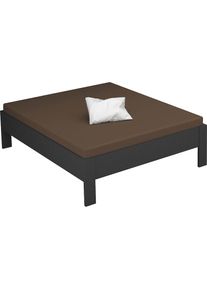 Rauch Futonbett &raquo;Aditio&laquo; ohne Kopfteil