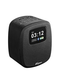 Sangean Uhrenradio &raquo;DCR-83&laquo; (A2DP Bluetooth AVRCP Bluetooth FM-Tuner mit RDS ) DAB+, Farbdisplay, Bluetooth, USB zum Aufladen des Smartphones