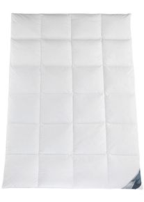 H&auml;ussling Daunenbettdecke HAEUSSLING "Kuscheltraum, 135x200,155x220 & weitere Gr&ouml;&szlig;en", wei&szlig;, B:200cm L:200cm, Bezug: 100% Baumwolle. F&uuml;llung: 60% Daunen, 40% Federn, Bettdecken, Daunenbettdecke, Hergestellt in Deutschland, Daunen der Klasse 1