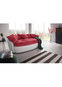 COTTA &raquo;Aruba&laquo; gem&uuml;tliches Megasofa in XXL in organischer Form mit vielen Kissen