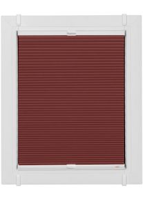 Plissee SUNLINES "Start-up Style Honeycomb", rot (ziegelrot, wei&szlig;, wei&szlig;), B:49cm H:175cm, Obermaterial: 100% Polyester, Plissees, Plissee, verspannt mit Simply-Fix Klemmtr&auml;ger, Wabenplissee, nach Ma&szlig;