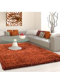 Hochflor-Teppich Ayyildiz Teppiche "Life Shaggy 1500", orange (terra), B:160cm H:30mm L:230cm, Kunstfaser, Teppiche, Hochflor-Teppich, Langflor, uni, gro&szlig;e Farbauswahl, robust, auch als L&auml;ufer und in rund