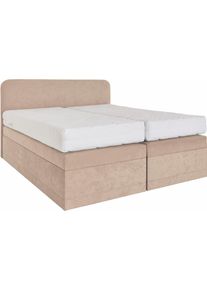 Boxspringbett, beige (dunkelbeige), B:145cm L:212cm, Box und Kopfteil: Microvelours (100% Polyester) oder Kunstleder (Polyurethan);Bezug der Obermatratze: 100% Polyester, Westfalia Schlafkomfort, Komplettbetten, Boxspringbett, wahlweise mit Bettkasten