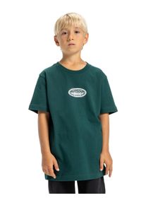 T-Shirt DC Shoes "Trotter", Jungen, Gr. 10(140-148cm), rosa (ponderosa pine), Obermaterial: 75% Walkfrottier, 25% Walkfrottier;, Shirts T-Shirt