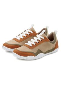 Sneaker Lascana, Damen, Gr. 38, Textil, beige (beige, gr&uuml;n), Obermaterial: 50% Lederimitat, 50% Textilmaterial. Decksohle: 100% Textilmaterial. Futter: 100% Textilmaterial. Laufsohle: 100% Synthetik, mehrfarbig, Schuhe Sneaker, superleicht, ultraflache Sohle, Sch&uuml;rhalbschuh, Freizeitschuh VEGAN