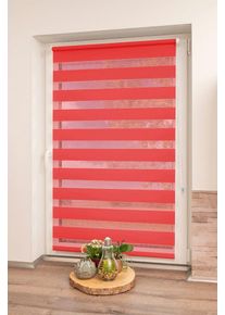 Doppelrollo K-home "Maringa Klemmfix" Gr. 3, rot, B:60cm H:150cm, Polyester, Rollos, Doppelrollo, in verschiedenen Gr&ouml;&szlig;en und 11 Farben erh&auml;ltlich