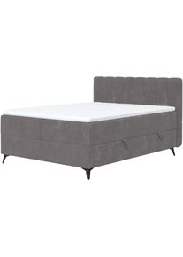 Boxbett COTTA "Vicky inkl. Bettkasten", grau (graphite), B:165cm L:210cm, 92% POLYESTER (PES);8% POLYAMID (PA), Komplettbetten, Boxbett, erh&auml;ltlich in den Breiten 160x200cm & 180x200cm