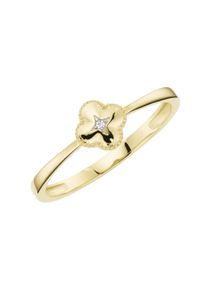 Goldring Luigi Merano "Ring mit Zirkonia, Gold 375" Gr. 56, gold, Fingerringe, Damen, 56, Gelbgold 375, Goldring