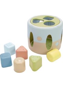 DANTOY Bio Sortierbox