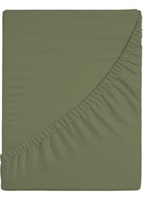 Spannbettlaken CASATEX "Jersey-Elasthan", gr&uuml;n, 1 Stk., Jersey, 180-200x200-220 25cm, Jersey, Obermaterial: 96% Baumwolle, 4% Elasthan, Bettlaken, Spannbettlaken, mit Elasthan