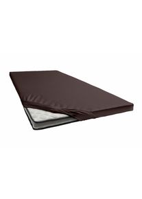 Spannbettlaken Janine "TOPPER 5001", braun (dunkelbraun), 1 Stk., Jersey-Elasthan, 140x200 140x210 140x220 150x200 150x210 150x220 160x200 160x210 160x220 10cm, Jersey-Elasthan, Obermaterial: 95% Baumwolle, 5% Elasthan, Bettlaken, Spannbettlaken, mit Rundumgummizug