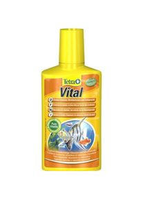 Tetra Vital f&ouml;rdert Vitalit&auml;t und Frabenpracht (Wasserpflege Aquarium), Aquarium Pflege