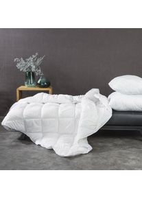 Eurofirany, Dekokissen, D91/PO/BASIC 70X80 (70 x 80 cm)