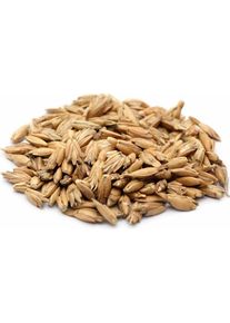 DoYourSports, Meditationskissen, (15 cm)