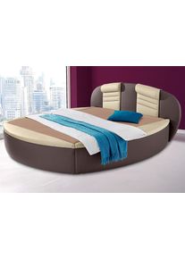 Rundbett, braun (dunkelbraun, vanille), B:220cm L:230cm, Bezug Bett: Kunstleder;Bonnell-Federkernmatratze: 51% Polypropylen, 39% Polyester, 10% Baumwolle;Kaltschaummatratze: 100% Polyester, Bezug abnehm- und waschbar bis 60C, Westfalia Schlafkomfort, Betten, Rundbett, mit Bettkasten