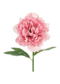 partydeco, Kunstpflanzen, K&uuml;nstliche Pfingstrose - Rosa