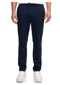 Schlupfhose INDICODE "INHeino", Herren, Gr. L, N-Gr, blau (sky captain), Web, Obermaterial: 62% Polyester, 33% Viskose, 5% Elasthan, unifarben, regular fit kn&ouml;chellang, Hosen Schlupfhose